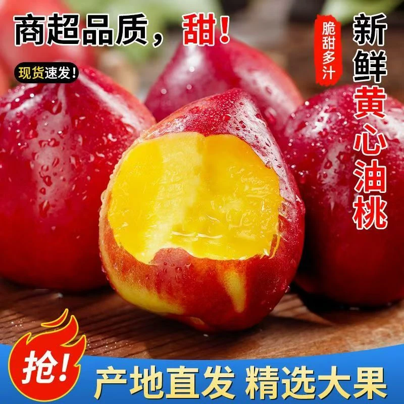 【脆甜新鲜】黄心油桃水果新鲜应季水果孕妇有桃子正宗小油桃