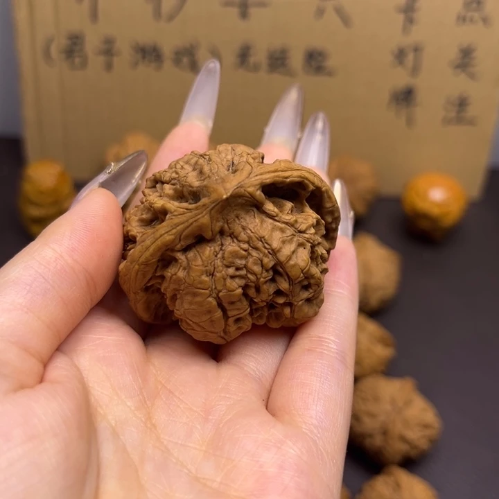 江***2菩提籽类蛇单只异型有瑕