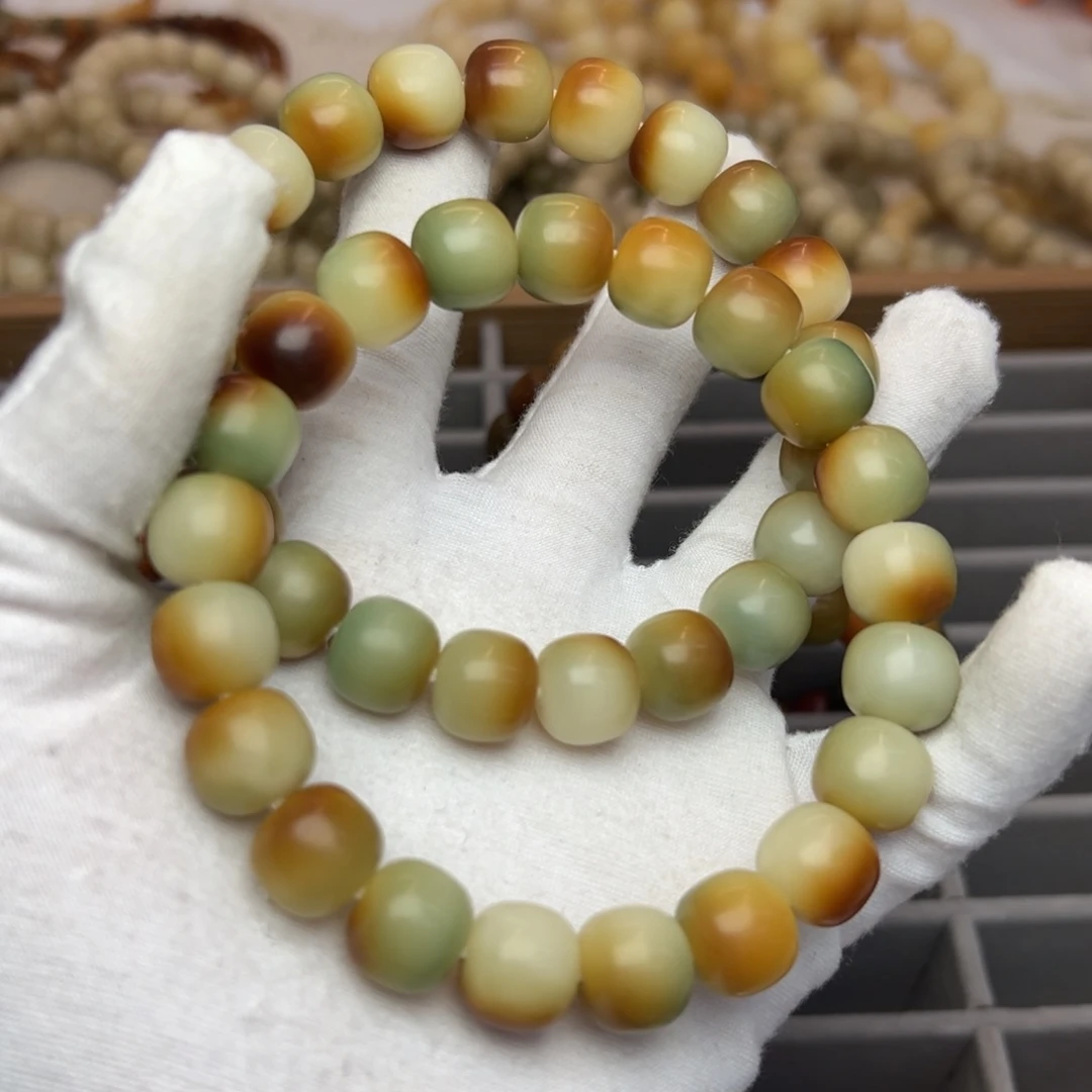 吊坠菩提根/象牙果13干磨微瑕发一条762