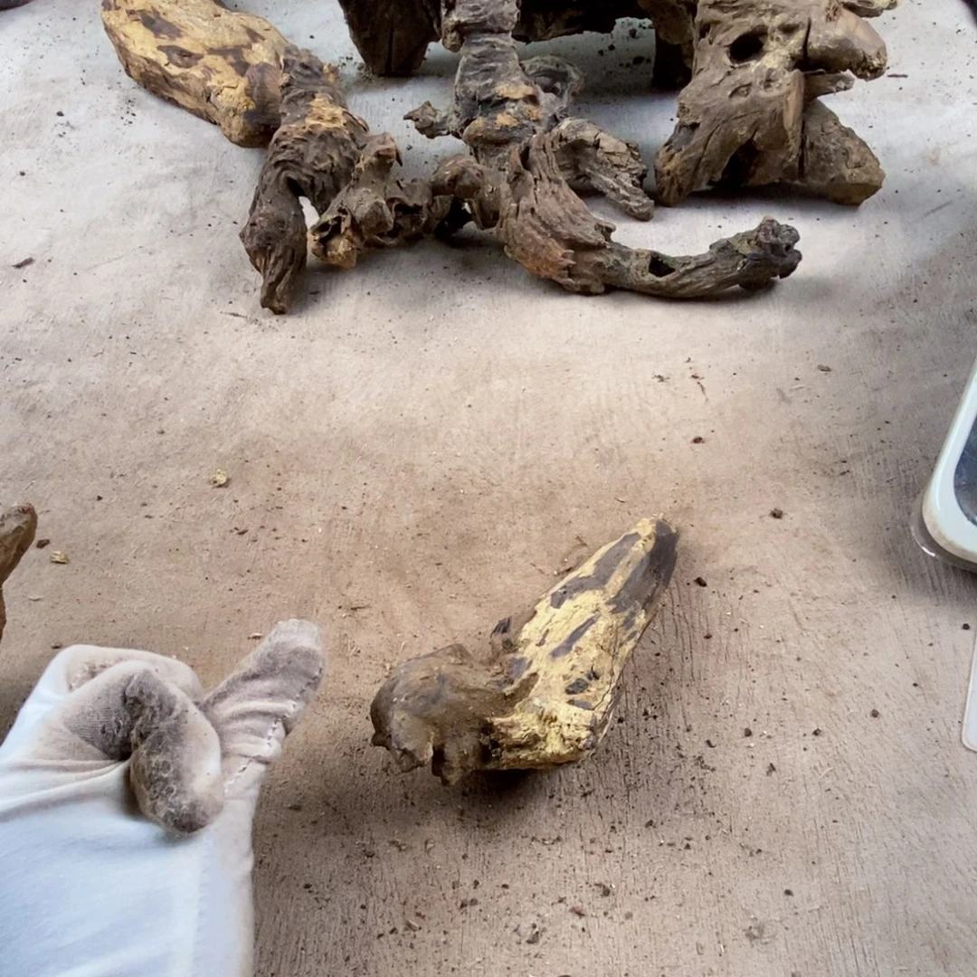 舍***得黄花梨/降香黄檀降香黄檀黄花梨