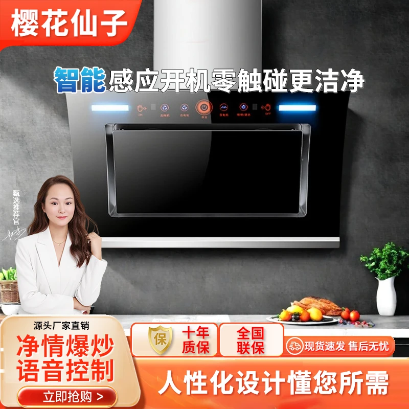 樱花仙子家用大吸力双电机侧吸体感租房抽油烟机自动清洗吸油机