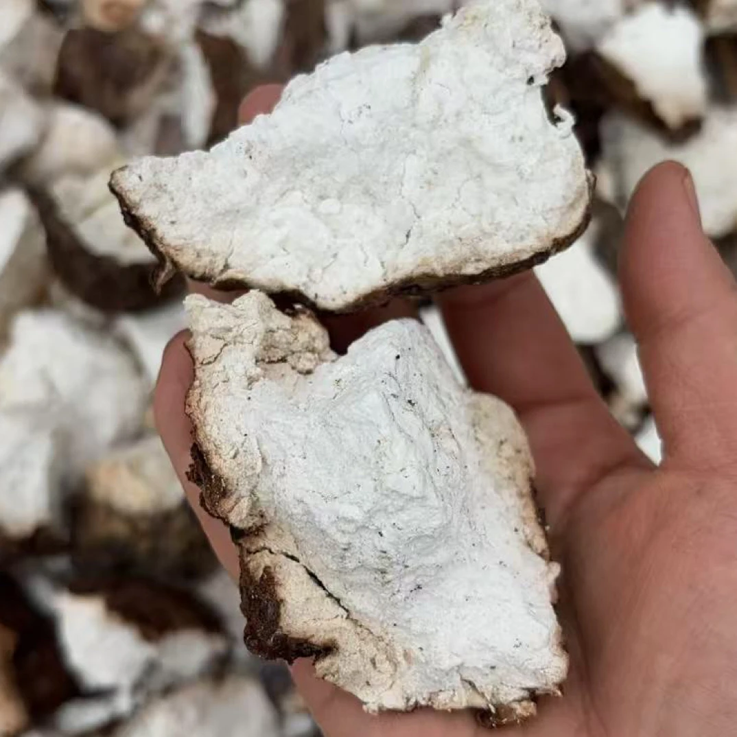 【带皮茯苓】新鲜自然晒干500g起