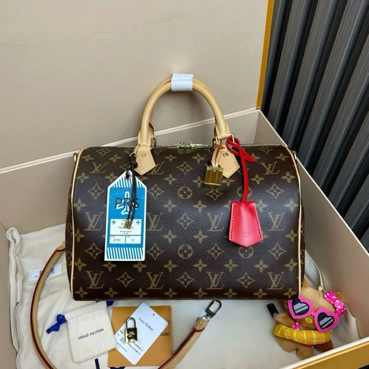 99新/路易威登/C6845228483/[251026LLYC]