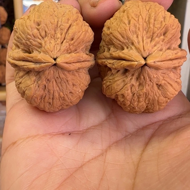 吊坠文玩核桃粗筋铁狮子40