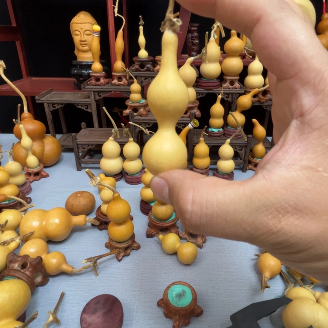 大***麻藤木我的小可爱，一点也不像个女孩