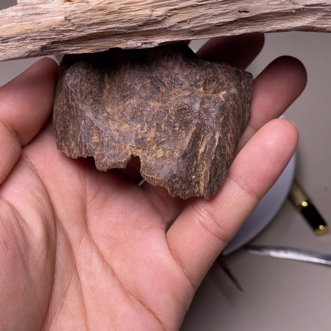 香榧木海南竹木根雕木料17克