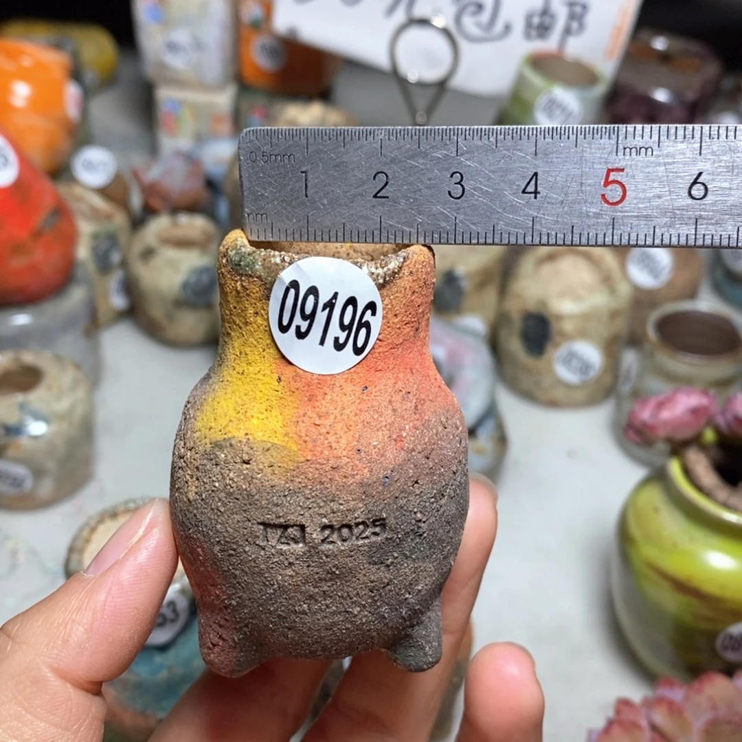 花盆拍5送一个小礼物