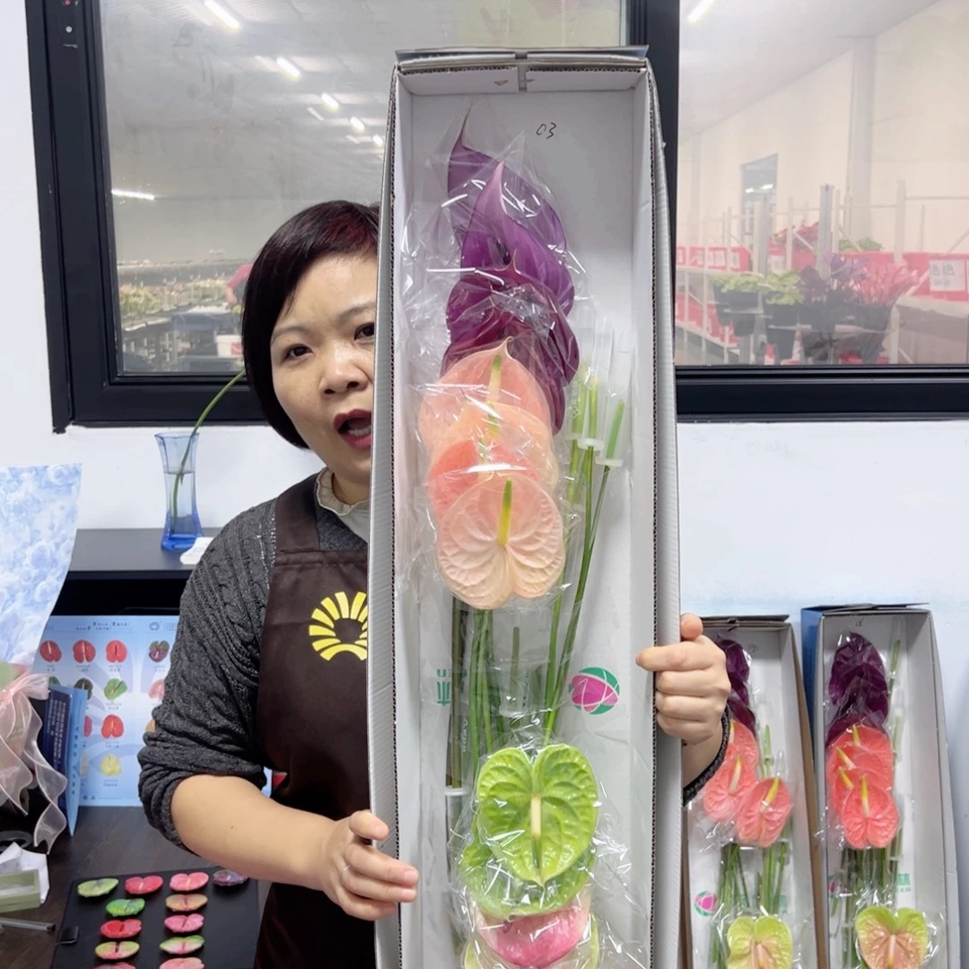 完全开放混色-16枝装03