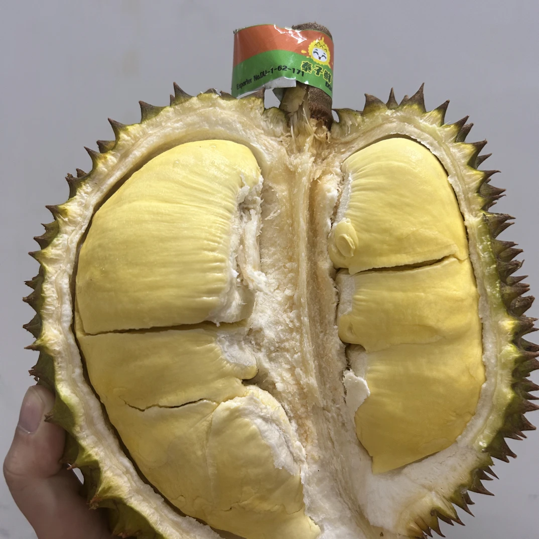 泰子鲜黑砂土巴掌金枕