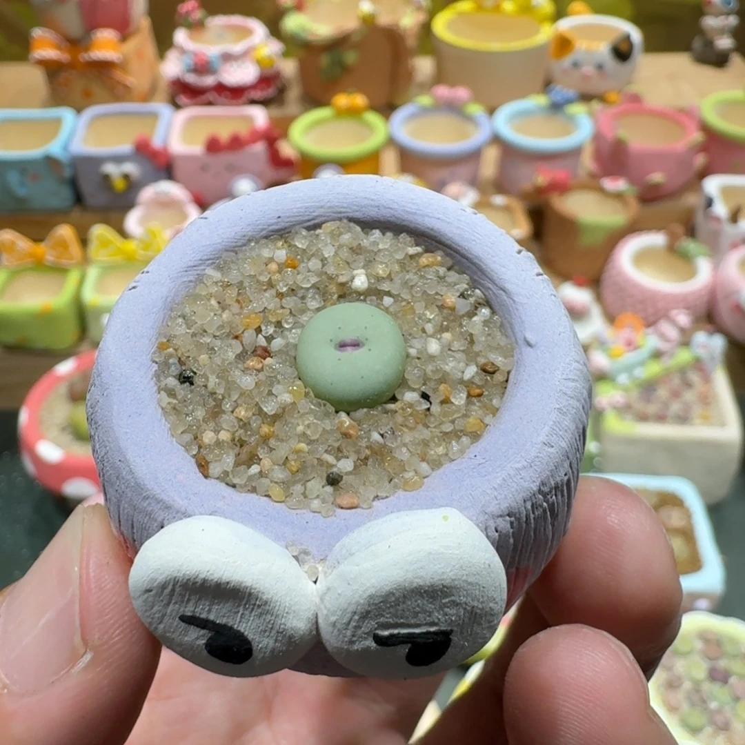 蘑菇1308小红嘴多肉植物