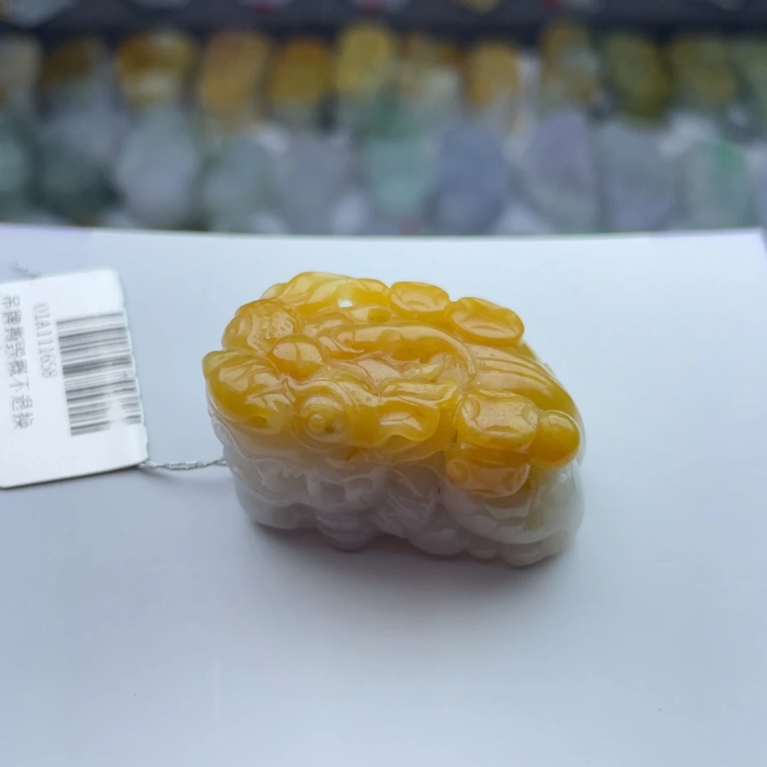 翡翠颈饰未镶嵌貔貅