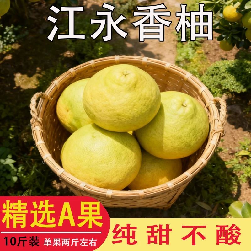 湖南永州特产江永香柚纯甜不酸沙田柚白心孕妇水果多汁新鲜精选