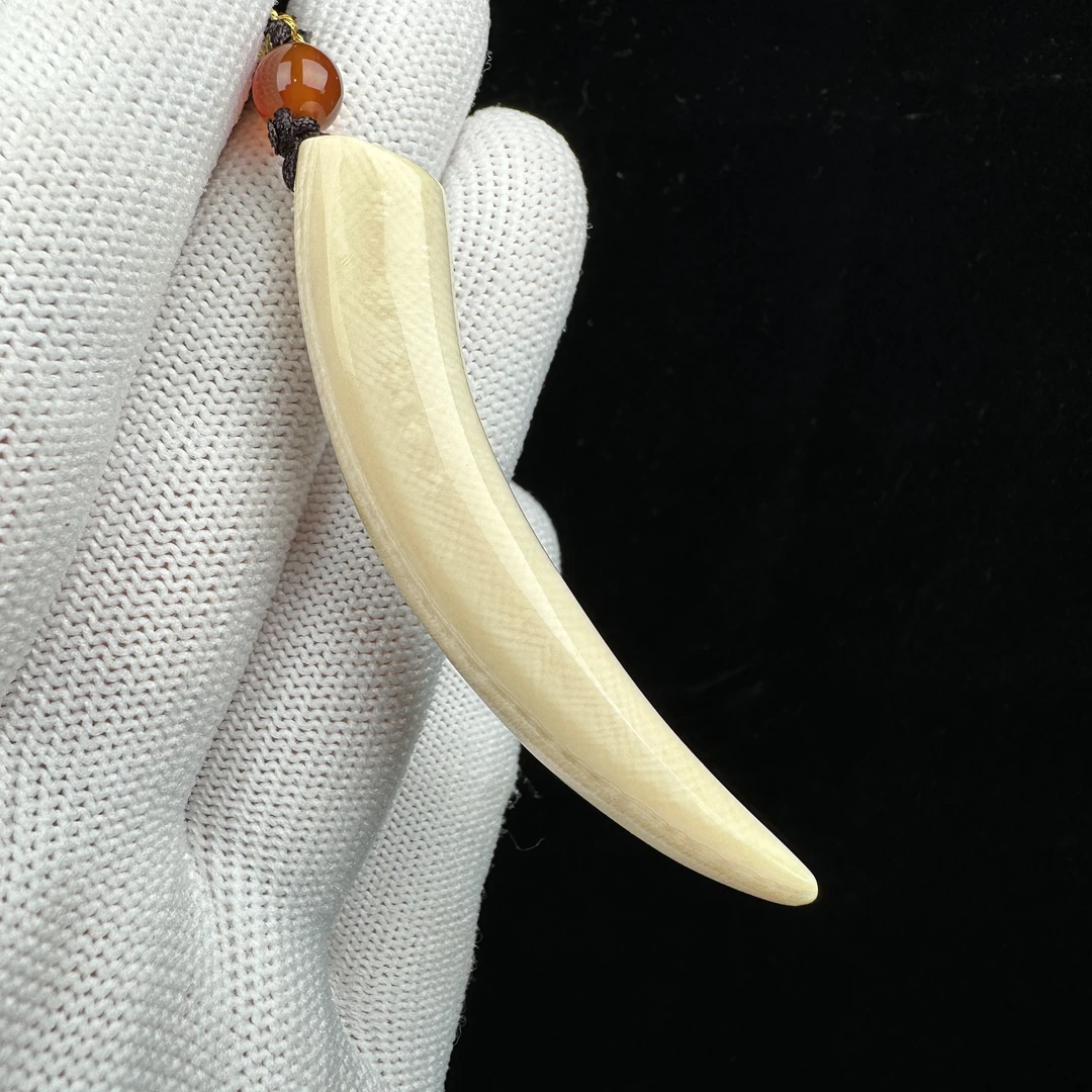 L2655天然猛犸牙 牙尖62.8mm支持鉴定 假一罚四