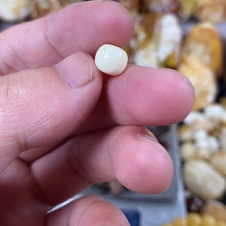 裸石琥珀未镶嵌我