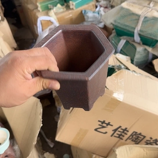 是你给她打个电饭煮