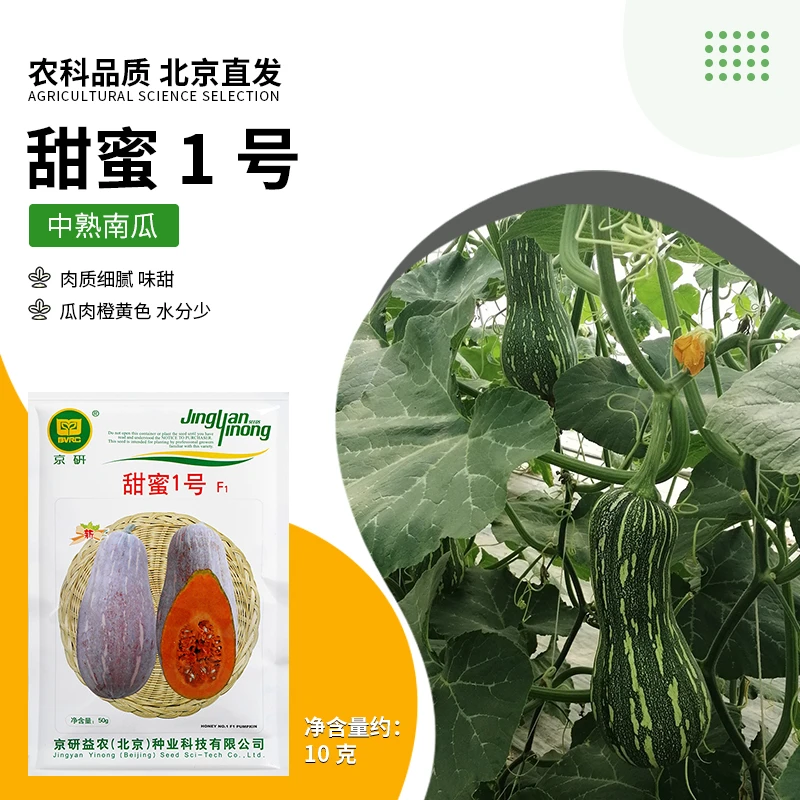 【农科院】南瓜种子密本南瓜简单易种蔬菜种子口感面蜜春耕节种菜
