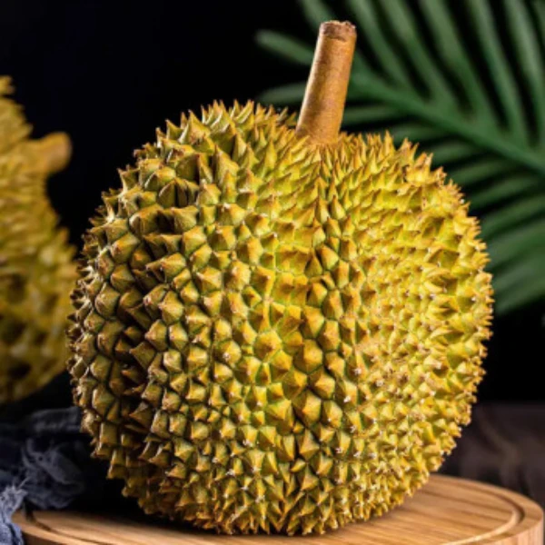 纯肉1·5斤【佛山同城即拍即送】泰国空运树熟新鲜金枕成熟精品A级树熟金枕榴莲核小KG 金枕泰国