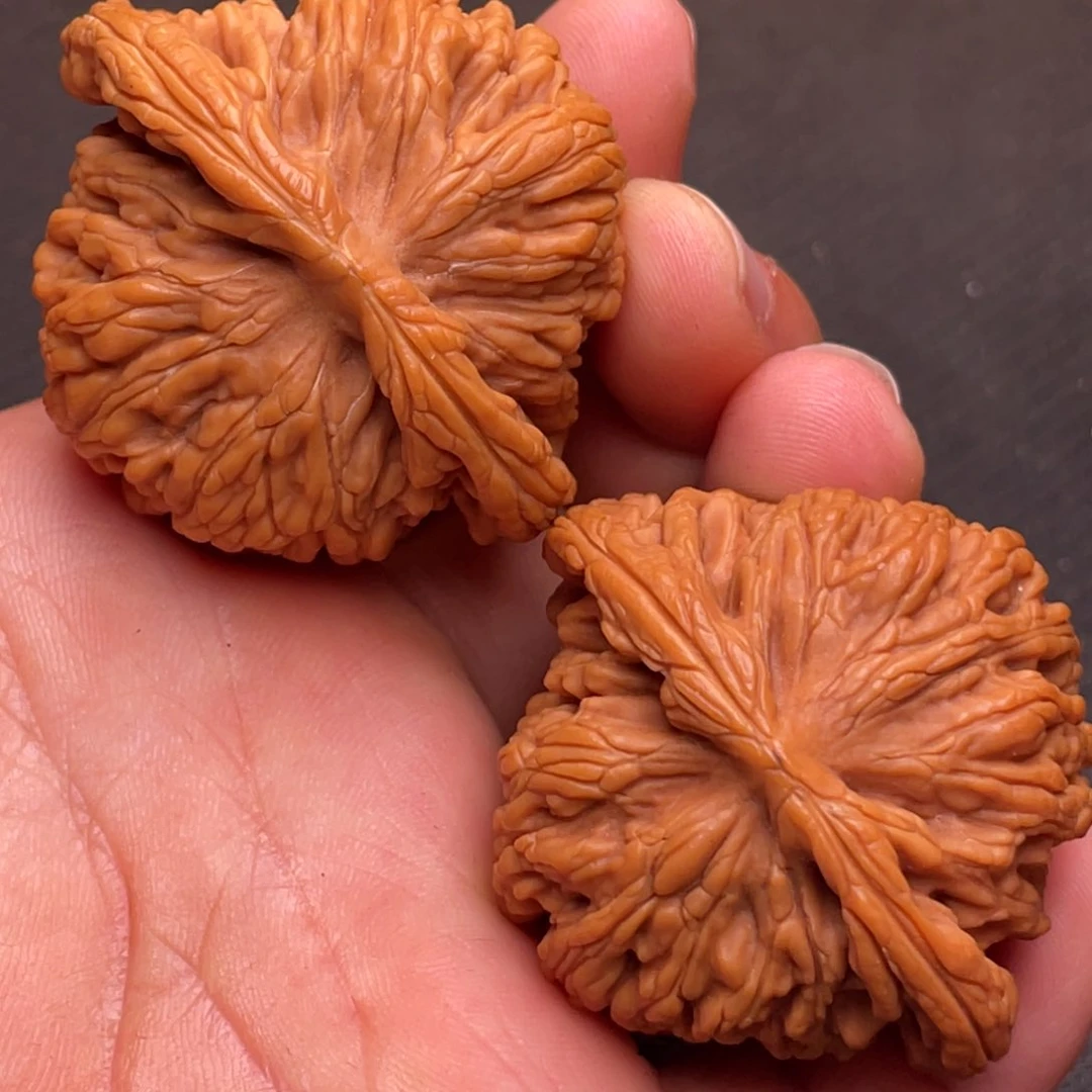 文玩核桃把件秦岭野生核桃