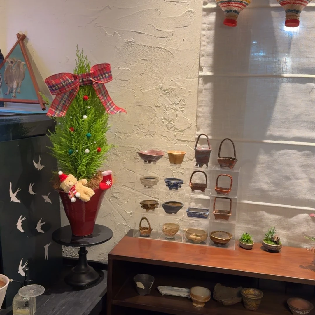 全部花朵满100包邮。退款拉黑！