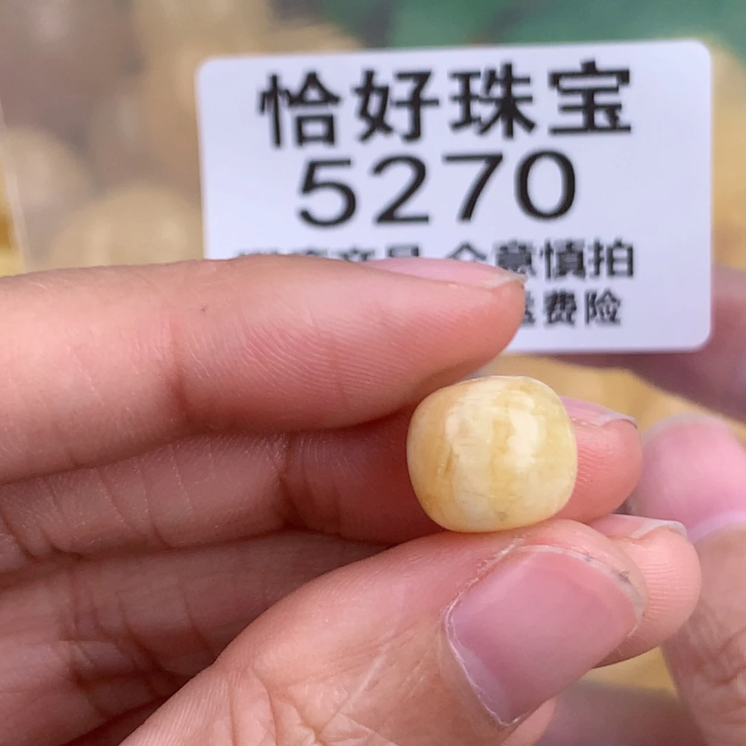 蜜蜡未镶嵌珠宝奇石11 10 植物