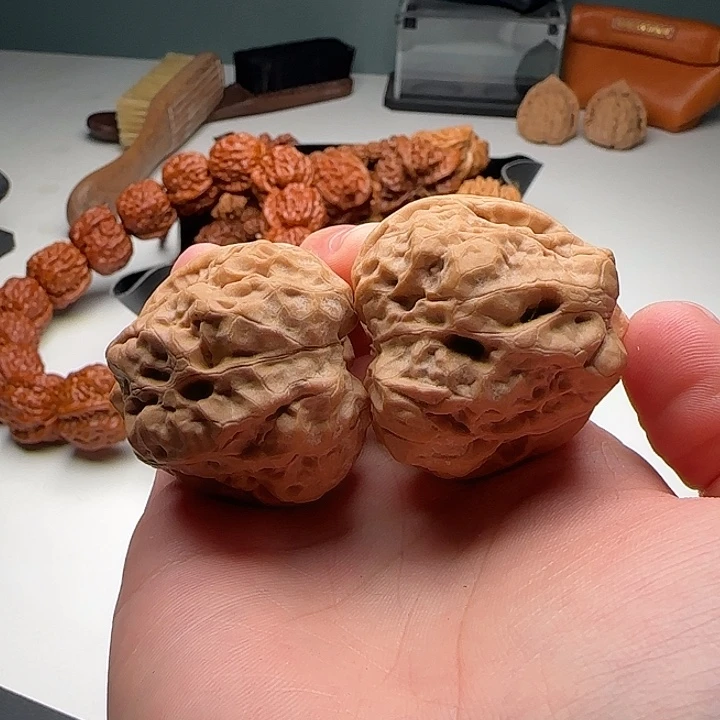 40-43-37肌肉蛙八腿八眼B15号