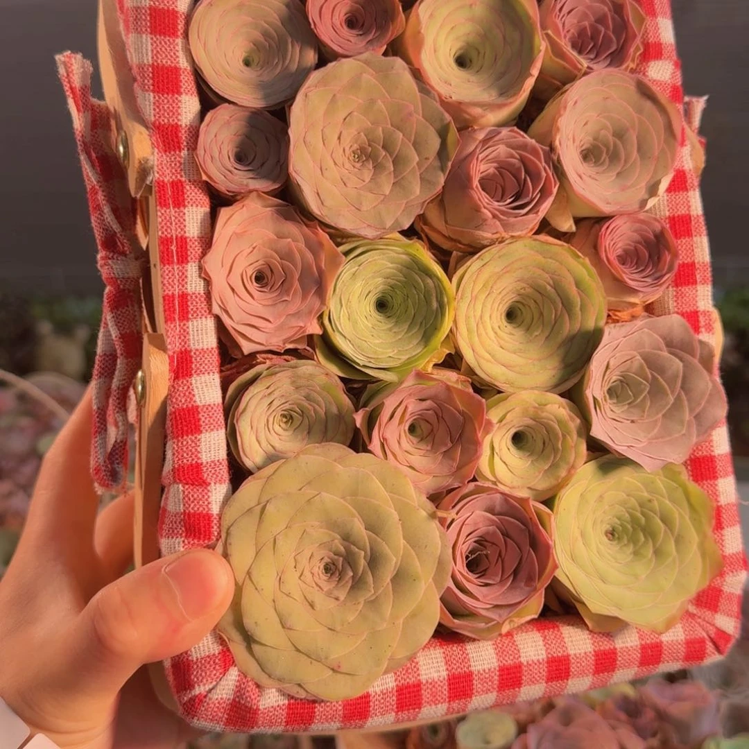 娜***子A610 野餐格子篮玫瑰组合