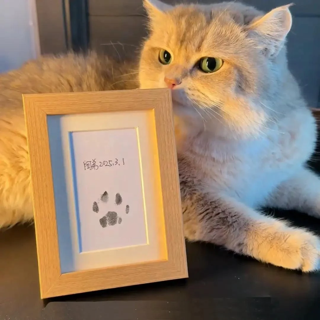 【重生】猫咪狗狗免洗足印相框不沾墨按压新宠物狗爪纪念品桌面饰品