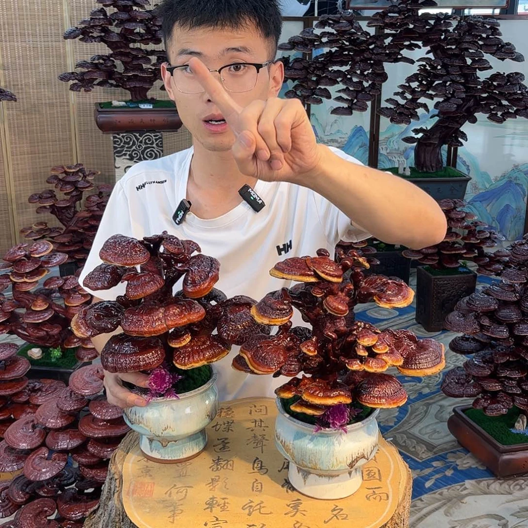 无花朵88888888888