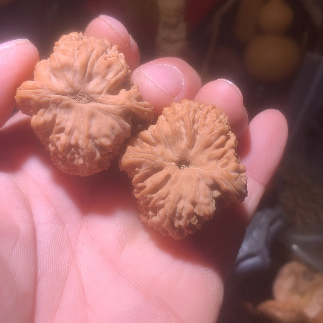 核桃全品山地炮弹南疆石