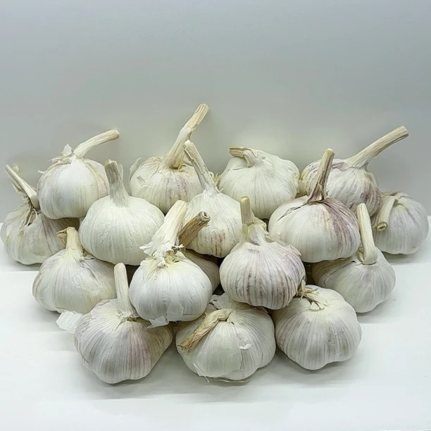 【精品净蒜】2025农家现晒干大蒜  3斤