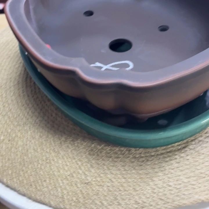 老***郎海棠做旧款呜呜呜呜