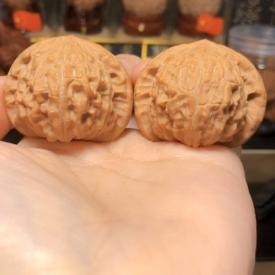 野生小众：血凤凰（货头）