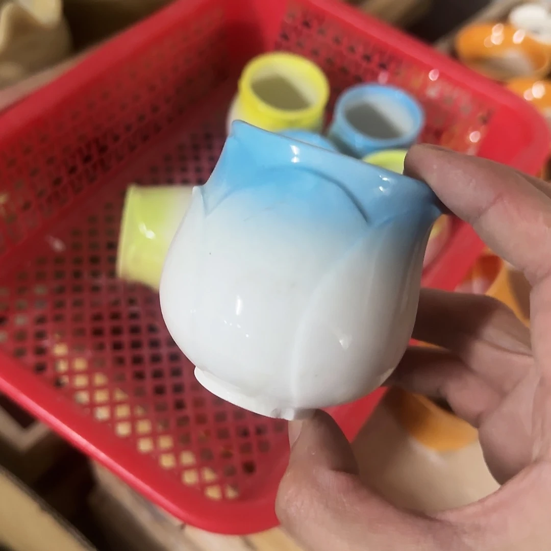 福利局绿植多肉盆［凑9元包邮24小时发］随机颜色