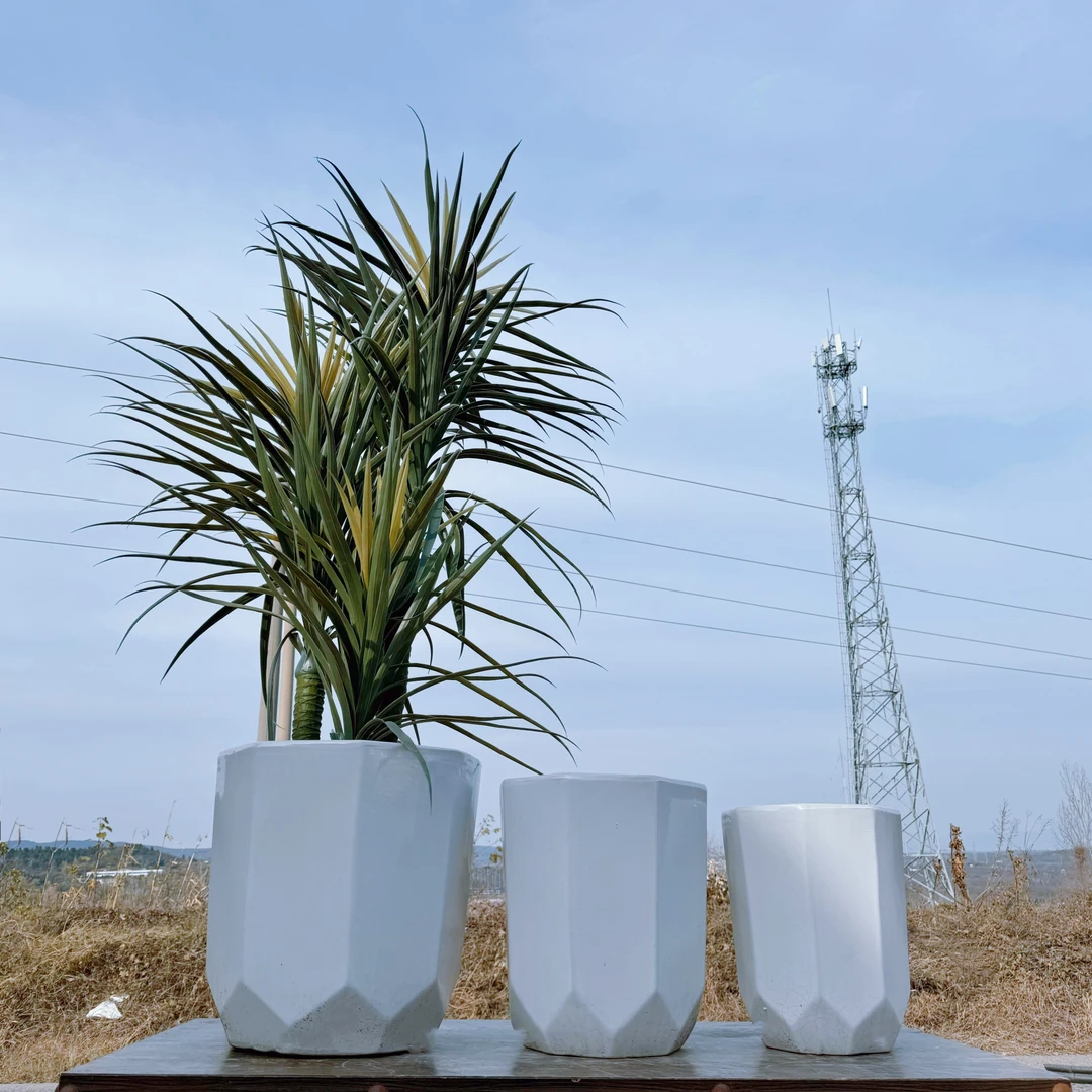 八宝绿植百搭款千年木天堂鸟龙血树花盆高温陶瓷落地大花盆