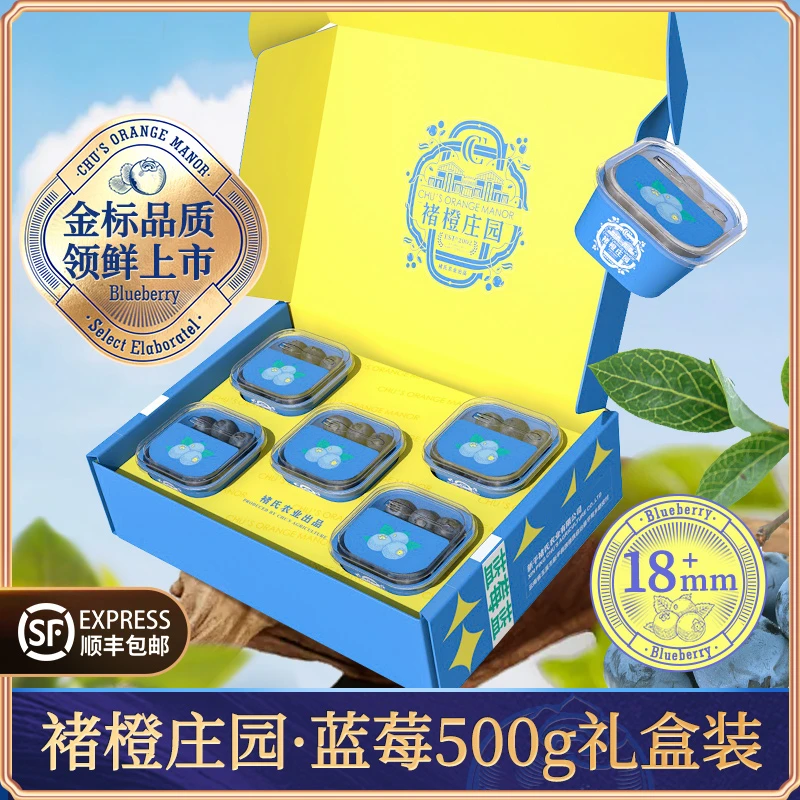 褚橙庄园蓝莓 现摘现发鲜果礼盒花香浓郁18mm+ 500g 顺丰包邮zb