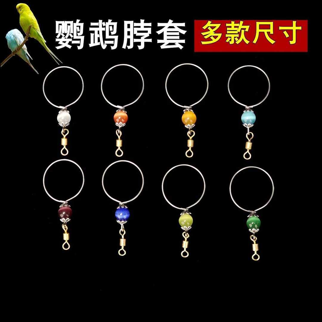 鹦鹉脖套不锈钢材质玄凤牡丹虎皮栓鸟链遛鸟放飞训练脖圈带脚链子