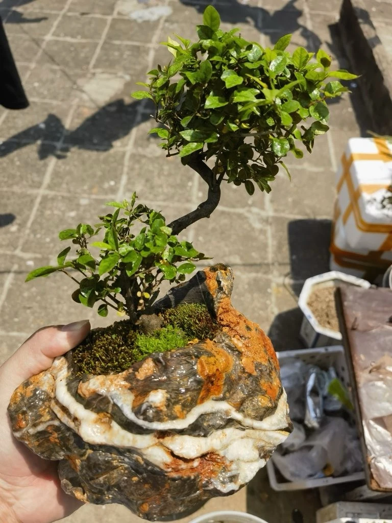 石头花盆灵璧石奇石花盆盆景造景景观石盆