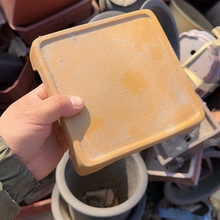 是因为她太喜欢了所以还是觉得不应该在学校