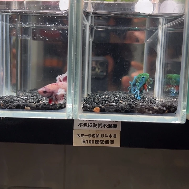 斗鱼竞拍跑单拉黑26日47+49