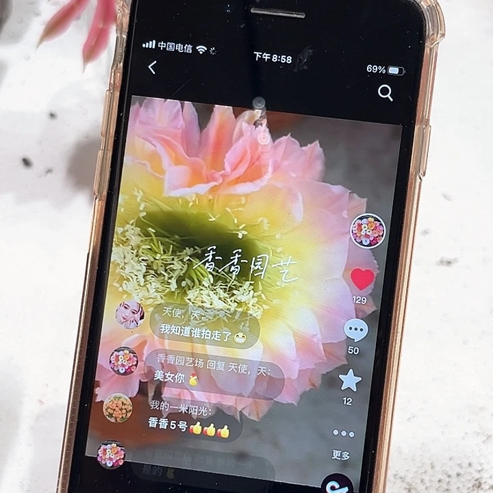 彩草比心双花缀花六公分左右