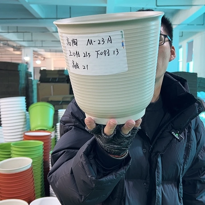 正品高陶口21高21米色无托6只