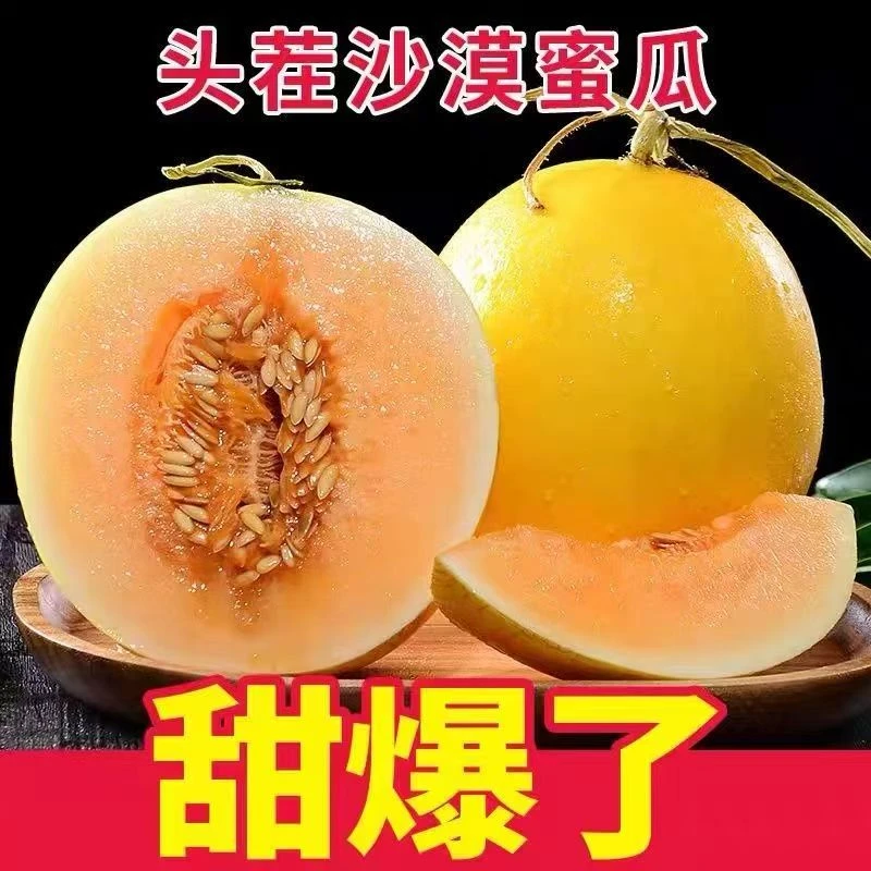 甘肃民勤沙漠蜜瓜当季新鲜水果香头茬金红宝甜瓜