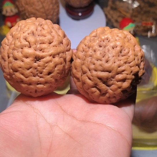 橄榄核把件脑纹金刚菩提