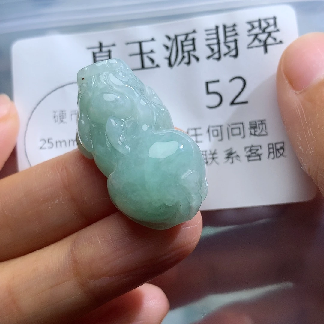 翡翠未镶嵌颈饰52