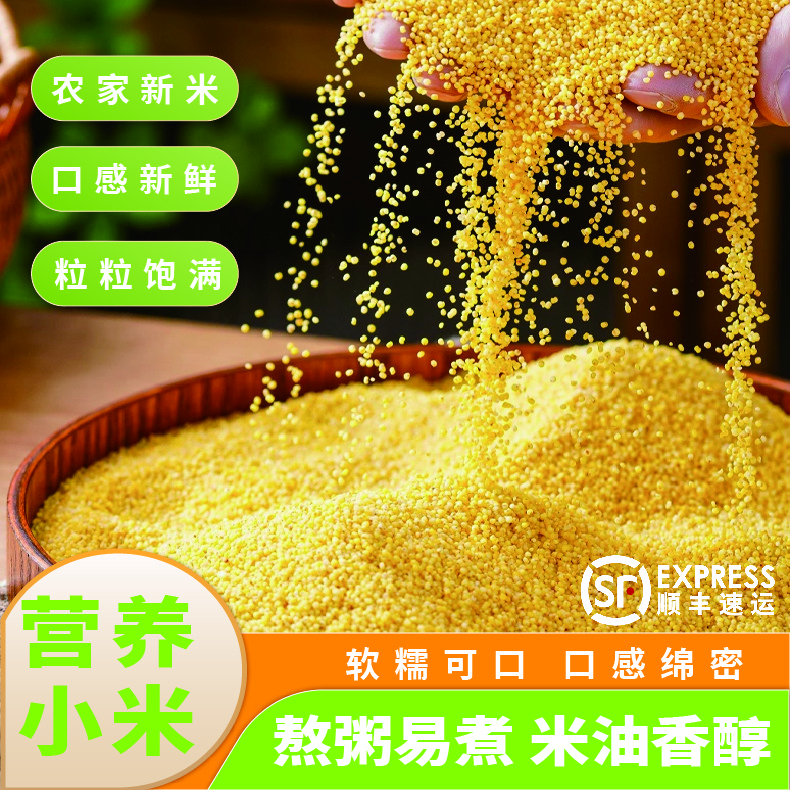 云贵高原黄小米产地直供新米现磨无添加软糯清甜煮粥煲汤营养足