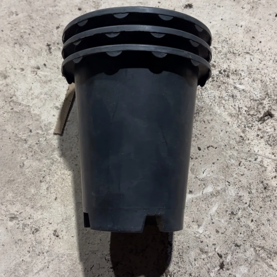 兰花盆125口径发20个