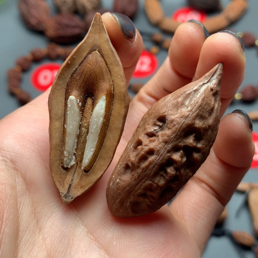 核桃38东北秋子半核桃