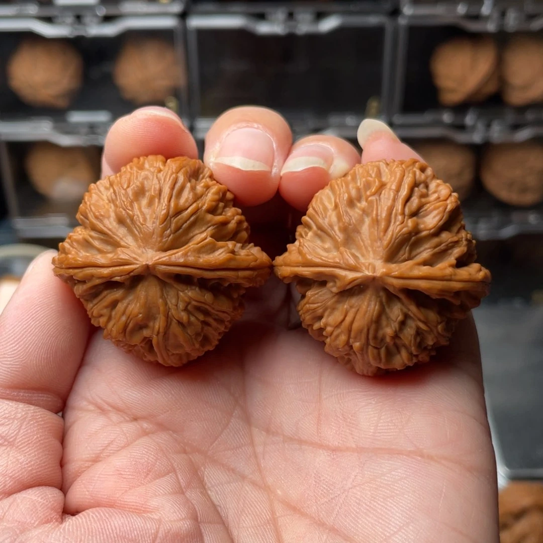 文玩核桃把件37白狮子