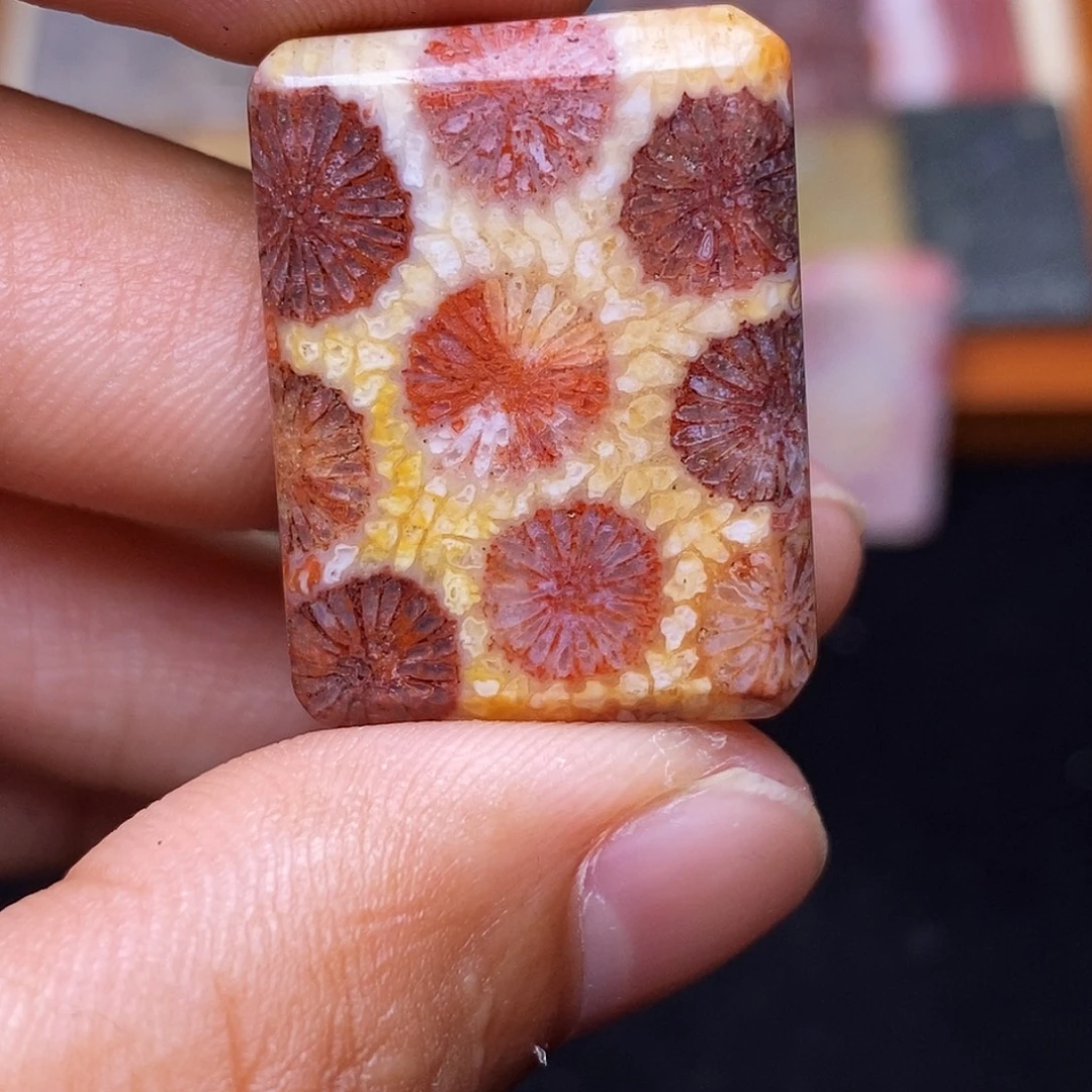 *****合金珊瑚玉硅化玉