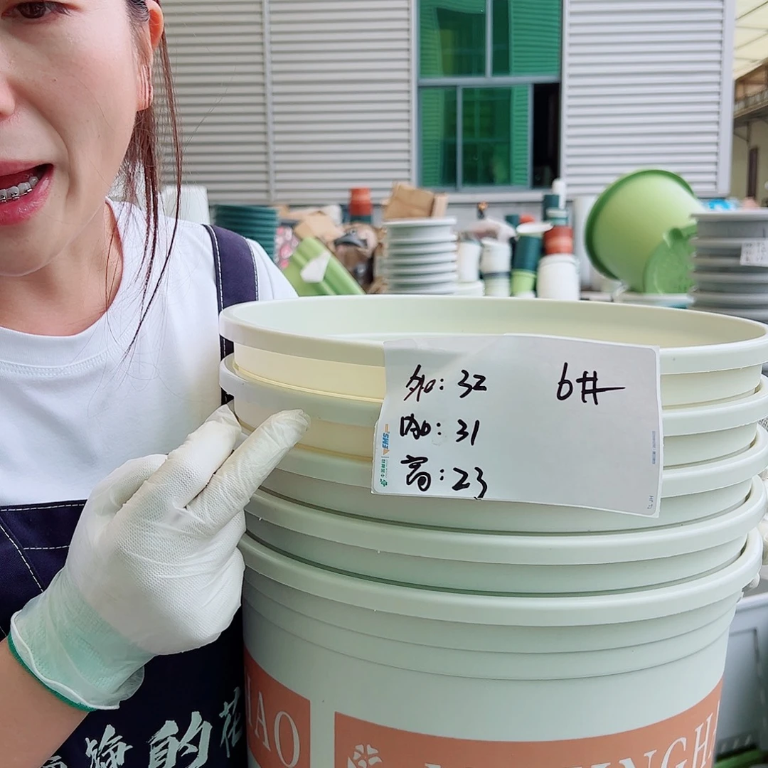 矮胖6#米白5个无托